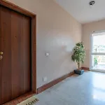 Graziosa Residenza In Collina Sanremo